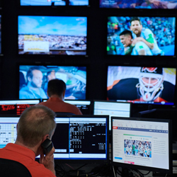 Data Gatekeepers Demand Increases as Sports Betting Grows